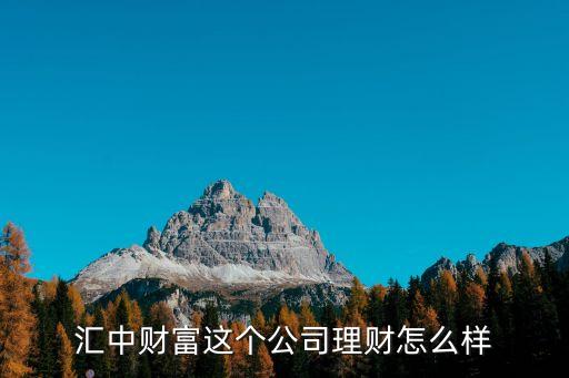 匯中財(cái)富這個(gè)公司理財(cái)怎么樣