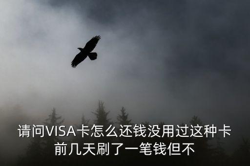 花旗銀行visa卡怎么還款，請問VISA卡怎么還錢沒用過這種卡前幾天刷了一筆錢但不