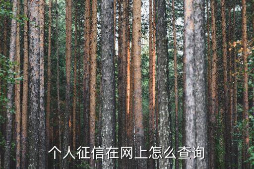 個(gè)人征信在網(wǎng)上怎么查詢