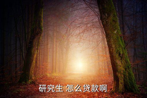 研究生 怎么貸款啊