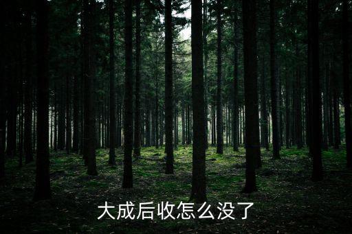 大成后收怎么沒(méi)了