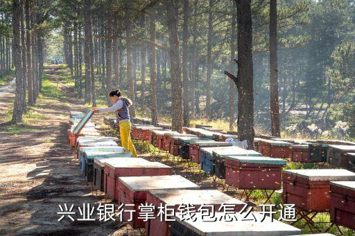 興業(yè)銀行掌柜錢包怎么開(kāi)通