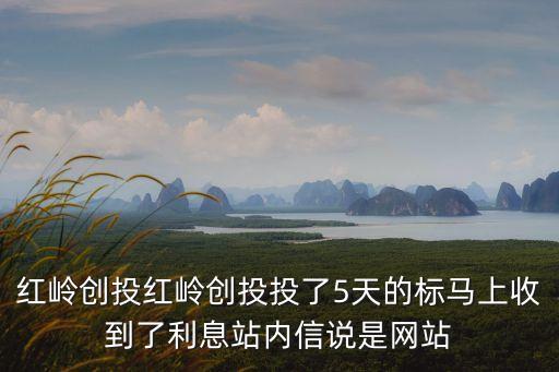 紅嶺創(chuàng)投紅嶺創(chuàng)投投了5天的標(biāo)馬上收到了利息站內(nèi)信說是網(wǎng)站