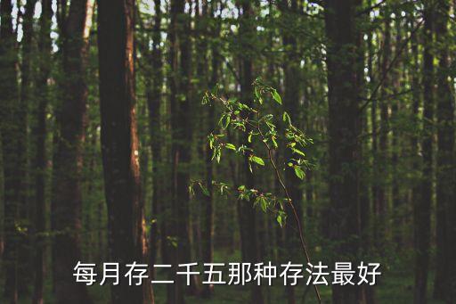 每月存二千五那種存法最好