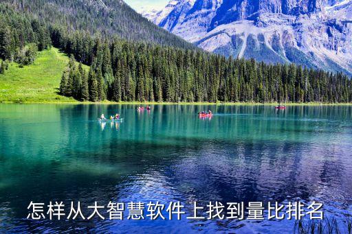 大智慧怎么看競價量比，大智慧里的競價率項目在哪里