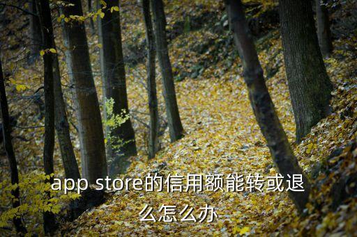 app store的信用額能轉(zhuǎn)或退么怎么辦