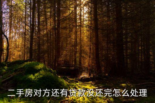 二手房對(duì)方還有貸款沒(méi)還完怎么處理
