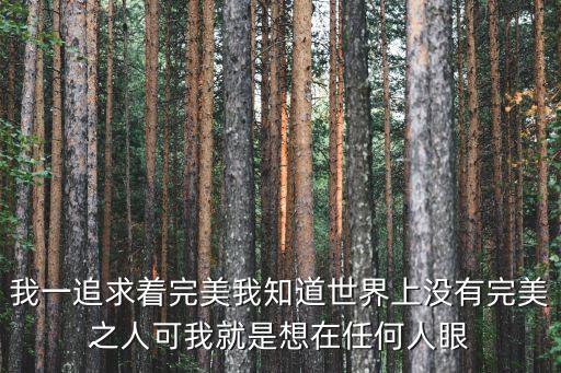 我一追求著完美我知道世界上沒有完美之人可我就是想在任何人眼