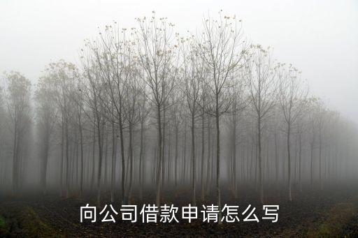 向公司借款申請怎么寫