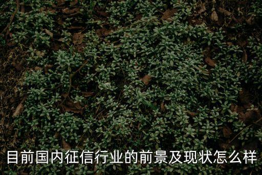 前海征信怎么樣，前海P2P如何呢