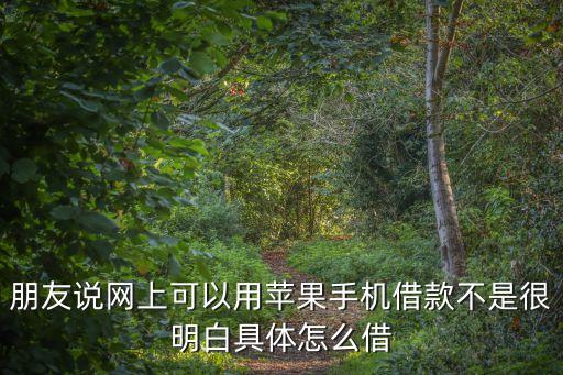 用蘋果手機(jī)怎么貸款，朋友說(shuō)網(wǎng)上可以用蘋果手機(jī)借款不是很明白具體怎么借