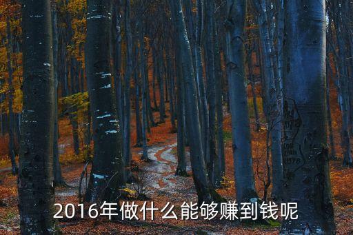 2016該怎么賺錢，2016年做什么能夠賺到錢呢