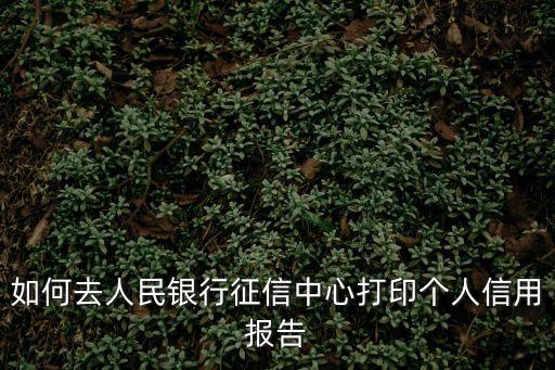 如何去人民銀行征信中心打印個人信用報(bào)告