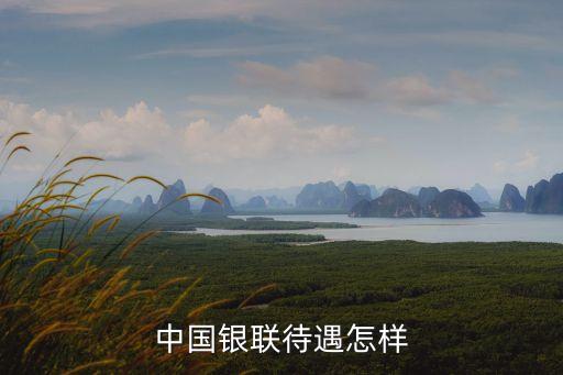 大慶銀聯(lián)工資待遇怎么樣，有人知道銀聯(lián)商務(wù)有限公司的待遇怎么樣嗎急待求解