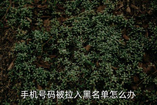 手機號碼被拉入黑名單怎么辦