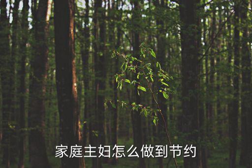 主婦怎么節(jié)約，請教大家特別是家庭主婦如何省錢的妙招