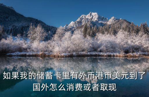 如果我的儲(chǔ)蓄卡里有外幣港幣美元到了國(guó)外怎么消費(fèi)或者取現(xiàn)