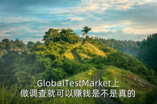 GlobalTestMarket上做調查就可以賺錢是不是真的