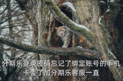 分期樂帳號忘了怎么辦，分期樂忘記卡號了能還款嗎