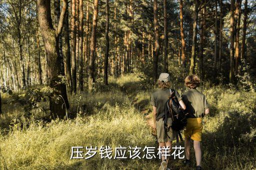 怎么使用壓歲錢(qián)，如何合理使用壓歲錢(qián)