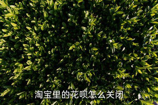 淘寶里的花唄怎么關(guān)閉