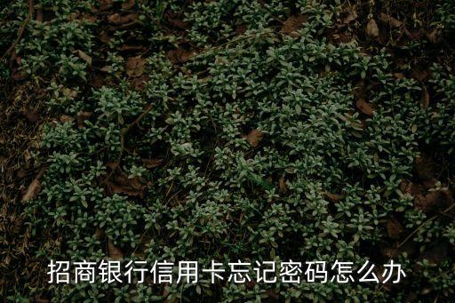 招商銀行信用卡忘記密碼怎么辦