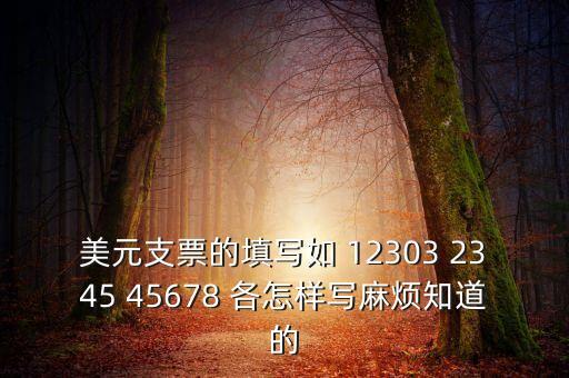 2000美金支票怎么寫，美元支票的填寫如 12303 2345 45678 各怎樣寫麻煩知道的