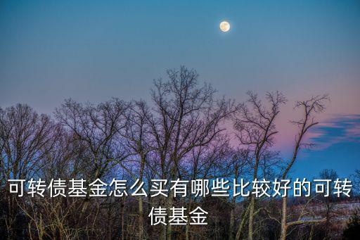 可轉(zhuǎn)債基金怎么買有哪些比較好的可轉(zhuǎn)債基金