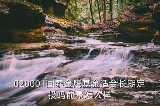 金鷹基金210002怎么樣，金鷹保本基金怎么樣