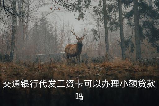 交通銀行代發(fā)工資卡可以辦理小額貸款嗎