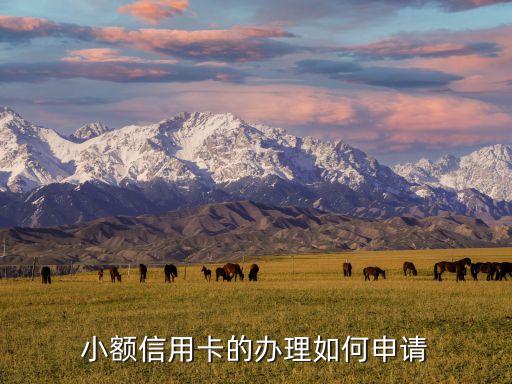 小信用怎么注冊，小白信用怎么開通