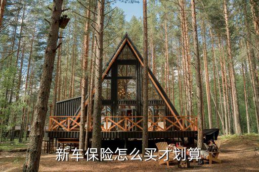 新車保險(xiǎn)怎么買才劃算