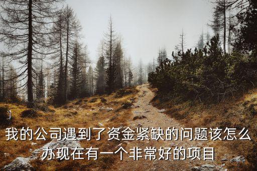 公司發(fā)展缺錢怎么辦，我的公司遇到了資金緊缺的問題該怎么辦現(xiàn)在有一個非常好的項(xiàng)目