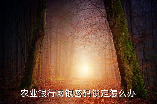 農(nóng)業(yè)銀行網(wǎng)銀密碼鎖定怎么辦