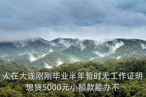 大連無(wú)工作社保怎么小額貸款，沒(méi)有工作怎么辦理小額貸款