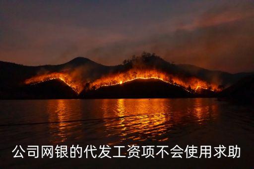 公司網(wǎng)銀的代發(fā)工資項(xiàng)不會(huì)使用求助