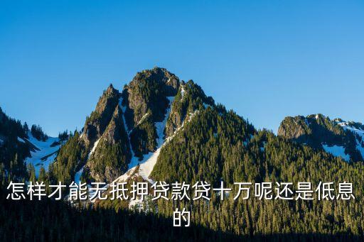 怎樣才能無(wú)抵押貸款貸十萬(wàn)呢還是低息的