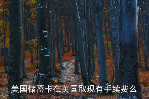 美國儲(chǔ)蓄卡在英國取現(xiàn)有手續(xù)費(fèi)么