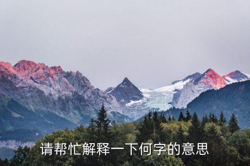 何的意思怎么樣，請幫忙解釋一下何字的意思