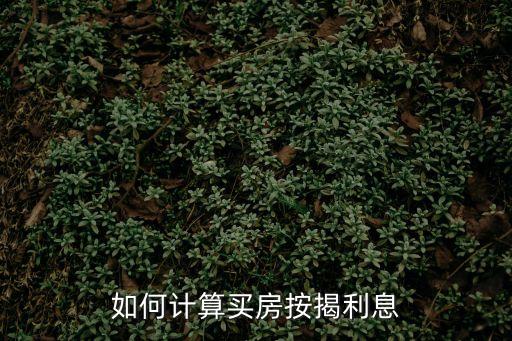 貸款買樓的利息怎么算，貸款買房子的利率是怎么算的啊