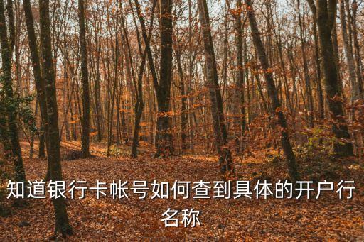 知道銀行卡帳號如何查到具體的開戶行名稱