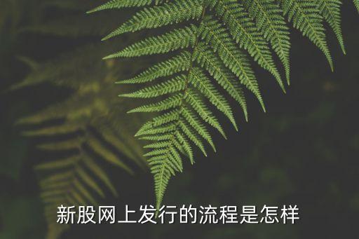 2016年怎么打新股流程，新股網(wǎng)上發(fā)行的流程是怎樣