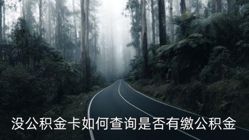 沒(méi)公積金卡如何查詢是否有繳公積金