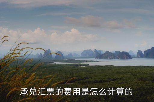 匯票怎么收費(fèi)，匯票手續(xù)費(fèi)