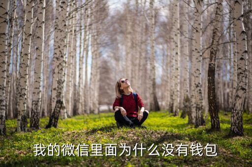 微信里怎么沒有錢包，我的微信里面為什么沒有錢包