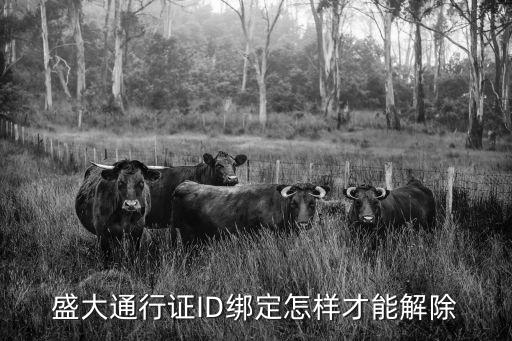 盛大通行證怎么解綁盛付通，盛大通行證被綁定后怎么解除綁定關(guān)系