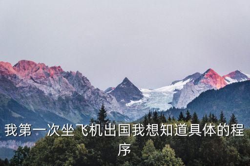 我第一次坐飛機(jī)出國我想知道具體的程序
