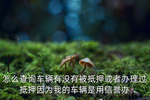 怎么查詢車輛有沒(méi)有被抵押或者辦理過(guò)抵押因?yàn)槲业能囕v是用信譽(yù)辦