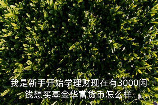 我是新手開始學(xué)理財現(xiàn)在有3000閑錢想買基金華富貨幣怎么樣