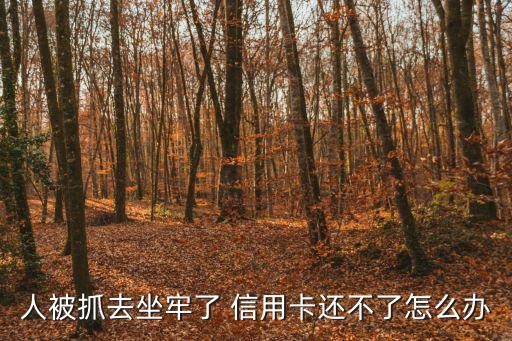 被判刑者信用卡怎么辦，人判刑后信譽(yù)卡欠款怎樣辦